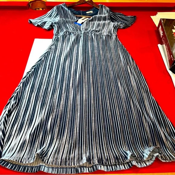 Briggs New York Dresses | Briggs Ladies Pleated Velvet Dress | Color: Blue | Size: L | Bobolabadmos's Closet